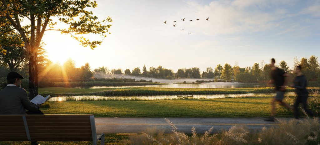 A person reads on a park bench beside a paved trail at sunrise, looking out over a wetland pond with geese overhead and two walkers passing by.